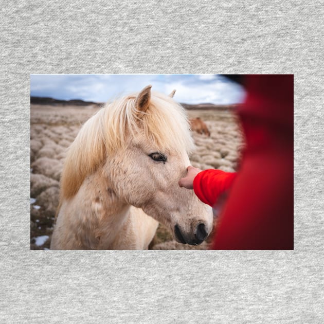 Men Meeting with Icelandic White Horse by Danny Wanders